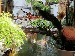 -鲤院·新中式美学·庭院餐厅(夫子庙店)