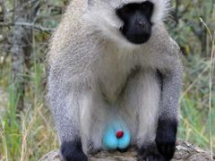 -南京夫子庙国际青年旅舍(平江府路店)