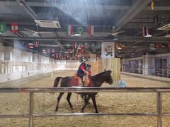 -李振强马术运动推广中心(南城店)