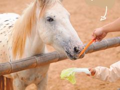 -茅山东方盐湖城景区