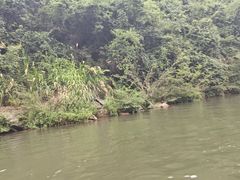 -千岛湖九龙溪漂流
