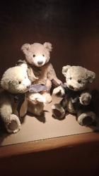 -济州岛泰迪熊博物馆