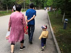 -长白岛森林公园