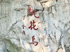 -金鸡湖桃花岛