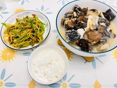 -田螺阿姨自营月嫂·育儿嫂(高新店)