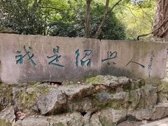 -鲁镇