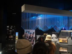 -奥斯卡升龙国际影城(RealD Cinema)