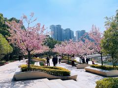 -新江湾城公园