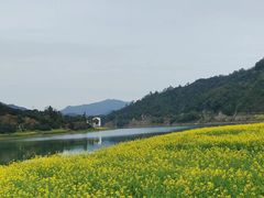 -新安江山水画廊风景区
