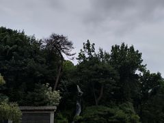 -红螺寺