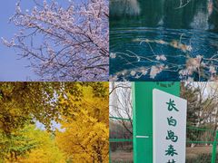 -长白岛森林公园