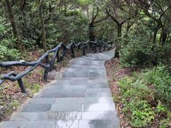 -梧桐山风景名胜区