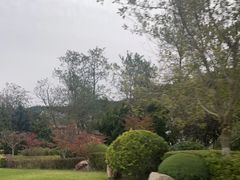 -棒棰岛宾馆景区