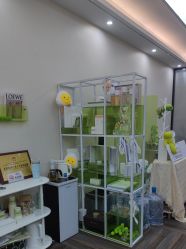 -凡碧诗毛孔清洁收细