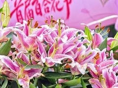 -中国农业博物馆