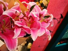 -BoBloom花店(晶耀前滩店)