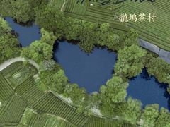 -龙坞茶村