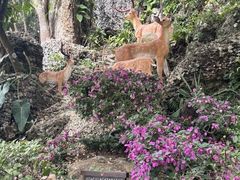 -鹿回头风景区