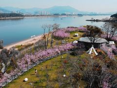 -福建鲤鱼洲酒店