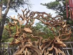 -五女山景区