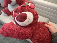 -南京THE TAI太和紫金大酒店