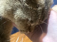 -平行世界·猫咖(首经贸店)