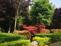 -西安汉城湖景区