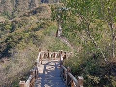 -大岭沟猕猴桃谷风景区