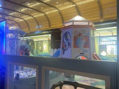 -童趣廊·儿童波波池·海洋球(长隆横琴湾酒店)