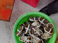 -阳澄湖大闸蟹·琼灵阁牌品牌连锁(吴中总店)