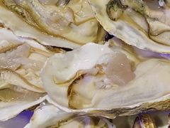 -千岛蚝高压锅生蚝·人参火锅(白云万达店)