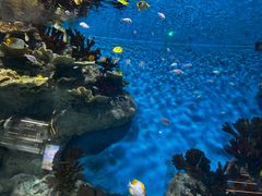 -福州罗源湾海洋世界旅游区