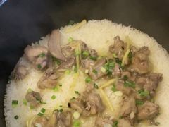 -大鸽饭(马王堆店)