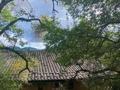 -南靖田螺坑土楼群景区
