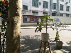-Onirii Coffee(长乐路店)