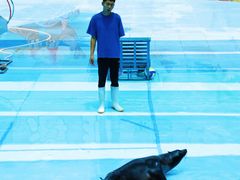 -五龙山野生动物王国