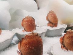 -雍容荟活帝王蟹活龙虾自助(苏宁旗舰店)