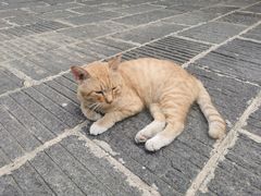 -宝通禅寺