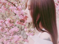 -碑林公园