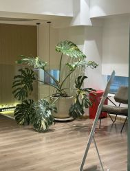 -海菲秀黑钻·SELF SKIN悦己·Tech SPA