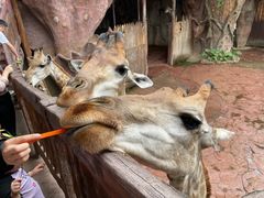-长鹿旅游休博园