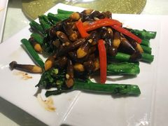 -陶缘一号·四季缘·老字号顺德菜·户外婚礼家宴(西滘店)