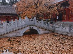 -香山公园