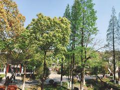 -湾里人家(旺山景区店)