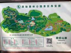 -西双版纳原始森林公园