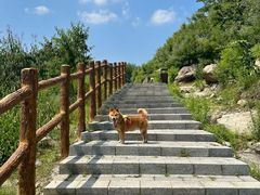 -白水寺森林公园