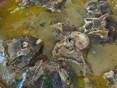 -香满锅老北京羊蝎子火锅·家常菜(新街口店)