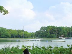 -金鸡湖桃花岛