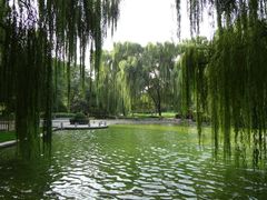 -玲珑塔公园