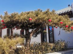 -泰山风景名胜区-虎山公园